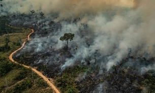 Números de queimadas começam a crescer novamente na Amazônia 