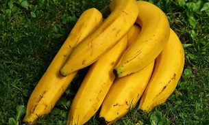 O que acontece com o corpo quando se come banana todo dia ?
