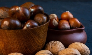 Foto: Reprodução/Freepik