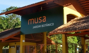 Foto: Divulgação/Musa