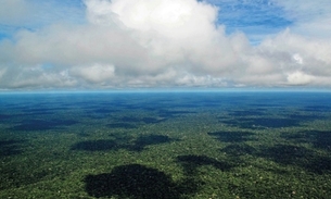 Amazônia precisa de segurança e não de pânico