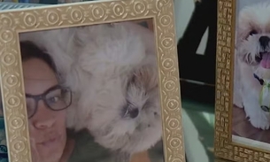 Cão morre após ir para petshop; tutora diz que animal foi esquecido em carro