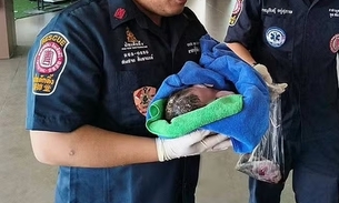 Bebê recém-nascida é resgatada viva dentro de caixa de descarga