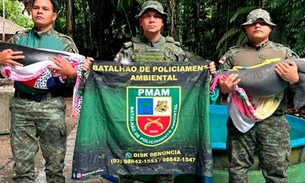 Foto: Divulgação/PM-AM