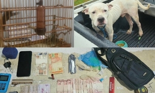 Foto: Divulgação/PC-AM