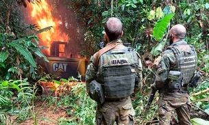 Foto: Ibama/Divulgação