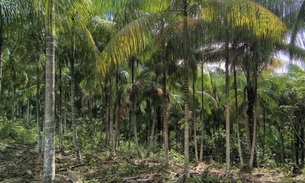 Foto: Edilson Seabra Pereira