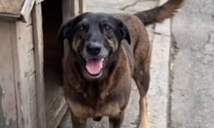 Foto: Reprodução/Redes Sociais