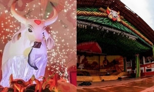 Foto: Janailton Falcão/Amazonastur