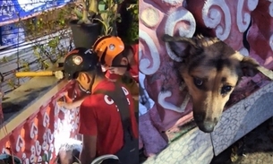 Foto: Divulgação/ CBMAM 