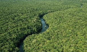 Foto: Divulgação/Ipaam