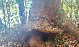 Foto: Cícero Furtado/Divulgação