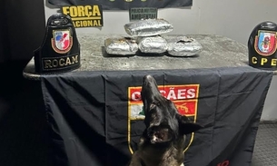 Foto: Divulgação/PM-AM