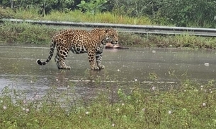 Foto: Reprodução/Redes Socias