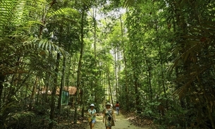 Floresta no Musa Museu da Amazônia, em Manaus. Foto: Arthur Castro/ Secom