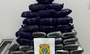 Foto: Divulgação/PF