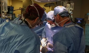 Morre primeiro homem a receber rim de porco em transplante  