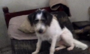 Corpo estava dentro da casa - Foto: Divulgação 