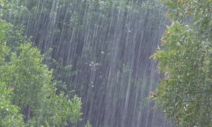 Foto: CreativeZone - Shutterstock