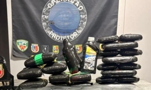 Carga mista tem 35 quilos - Foto: Divulgação 