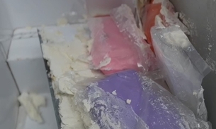 Droga estava escondida na estrutura da freezer - Foto: Divulgação 