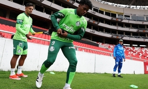 Foto: Divulgação/ Palmeiras