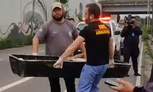 IML remove corpo - Foto: Divulgação 