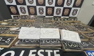 Drogas apreendidas - Foto: Jander Robson/Portal do Holanda