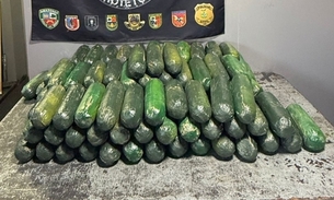 Pepinos repletos de drogas - Foto: Divulgação