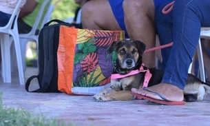 Foto:Divulgação Sepet