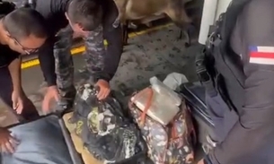 Quarenta e sete quilos de drogas apreendidos- Foto: Divulgação 