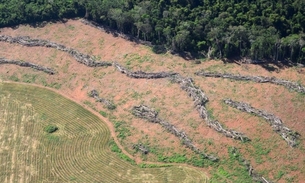 Desmatamento da Amazônia e calor podem ser fatais para saúde humana