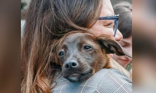 Janja com a cachorrinha batizada de 'Esperança' - Imagem: Reprodução/Instagram