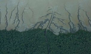 Foto: Victor Moriyama/Greenpeace