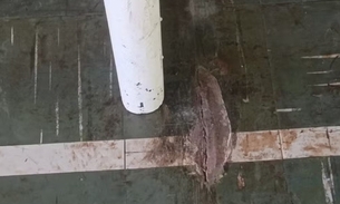 Foto: Polícia Civil