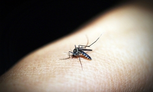 Dengue pode causar complicações no sangue, alertam especialistas