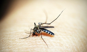 Dengue e Diabetes: saiba como evitar complicações