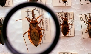 Foto: Arquivo/Ministério da Saúde