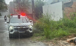 Foto: Neto Silva/Portal do Holanda