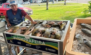Saiba onde comprar peixe barato nos Feirões do Pescado em Manaus 
