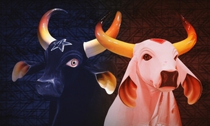 Foto: Divulgação Festival de Parintins