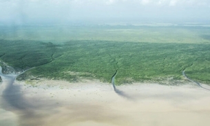 Foto: Elsa Palito/Greenpeace Brasil/Divulgação