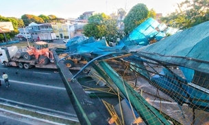 Passarela foi atingida por carreta - Foto: Jander Robson/Portal do Holanda