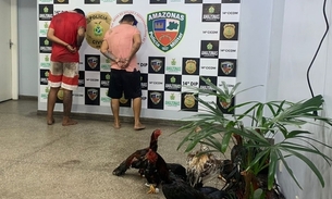 Rinha de galo é descoberta em sítio e dois são presos em Manaus