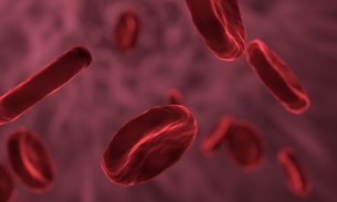 As talassemias se caracterizam pela redução ou ausência de hemoglobina - Imagem: Ilustrativa/Pixabay