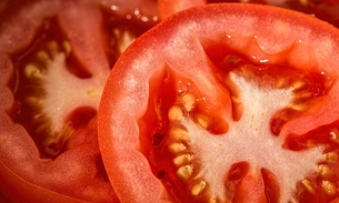 Comer semente de tomate e goiaba pode provocar apendicite? Médico responde