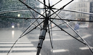 Foto: Divulgação / Pixabay