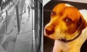 Animal latiu ao ver discussão do casal - Foto: Reprodução