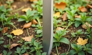 Duas vítimas ficaram feridas- Foto: Freepik IA