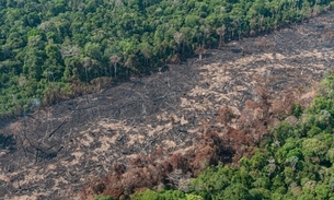 Amazônia sofre com queimadas e desmatamento / Foto: Imazon